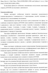 Способ получения l-треонина с использованием бактерии, принадлежащей к роду escherichia, в которой инактивирован оперон ycbponme (оперон ssueadcb) (патент 2392326)