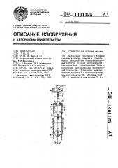 Устройство для бурения скважин (патент 1401125)