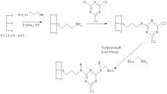 Фермент ловастатин эстераза, иммобилизованный на твердом носителе, способ иммобилизации фермента, биокатализируемый проточный реактор и способ очистки симвастатина (патент 2475538)