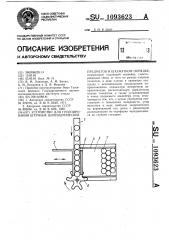 Устройство для группирования штучных цилиндрических предметов в шахматном порядке (патент 1093623)