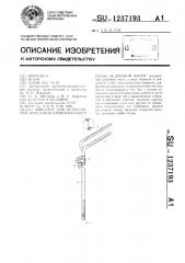 Фиксатор для остеосинтеза переломов проксимального конца бедренной кости (патент 1237193)