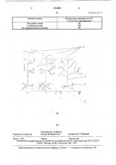 Способ создания полезащитных лесных полос (патент 1724092)