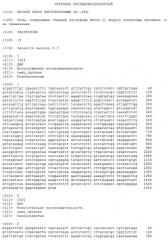 Гены, кодирующие главный капсидный белок l1 вируса папилломы человека, и их применение (патент 2494106)