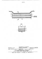 Газораспределительное устройство каппаратам c псевдоожиженным слоем (патент 821192)