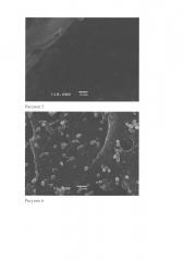 Макропористые сорбенты для удаления цианобактерий из водной среды (патент 2620388)