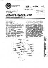 Воздушная линия электропередачи (патент 1483540)