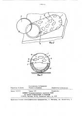Устройство для развития мышечной системы и игр животных (патент 1386124)