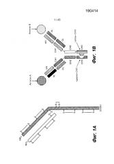 Получение гетеромультимерных белков (патент 2624027)