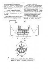 Машина для очистки корнеклубнеплодов от примесей (патент 923506)