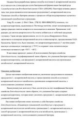 Бактерия семейства enterobacteriaceae - продуцент l-аспарагиновой кислоты или метаболитов, производных l-аспарагиновой кислоты, и способ получения l-аспарагиновой кислоты или метаблитов, производных l-аспарагиновой кислоты (патент 2472853)