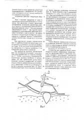 Устройство для удаления ботвы корнеплодов на корню (патент 1759285)