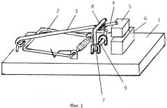 Устройство для ловли мелких грызунов (патент 2489852)
