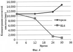 Штамм bacillus sp. для биологической борьбы с saprolegnia sp. и его применения (патент 2555549)