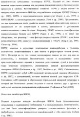 Производные 2-амино-4-фенилхиназолина и их применение в качестве hsp90 модуляторов (патент 2421449)