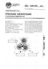 Устройство для отделения корнеклубнеплодов от камней и комков почвы (патент 1281195)