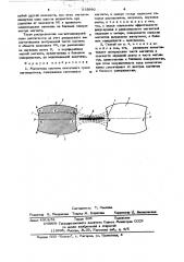 Способ намагничивания магнитной системы ленточного громкоговорителя (патент 575990)