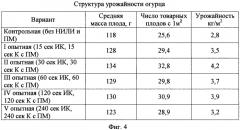 Способ предпосевной стимуляции семян и устройство для его осуществления (патент 2565822)