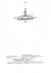Устройство для внутрипочвенного внесения удобрений на лугах (патент 1243642)