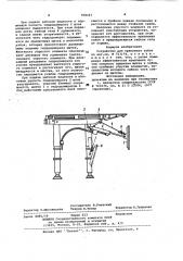 Устройство для крепления забоя (патент 968447)