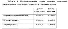 Водная композиция для инстилляций в мочевой пузырь (патент 2586285)