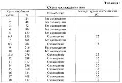 Способ инкубации яиц кур мясных и яичных кроссов (патент 2613282)