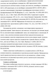 Антитела к рецептору инсулиноподобного фактора роста i и их применение (патент 2363706)