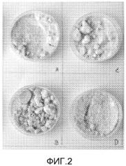 Stabiliser of colour in bacterial composition (патент 2560425)