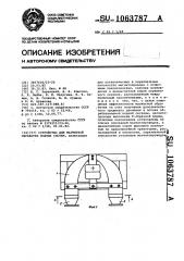 Устройство для магнитной обработки водных систем (патент 1063787)