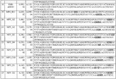 Биспецифичные анти-her2/анти-her3 антитела (патент 2653443)