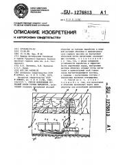 Способ возведения породной крепи горных выработок (патент 1276813)