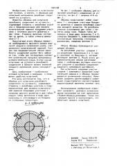 Образец для испытания резьбового соединения на усталость (патент 1054708)