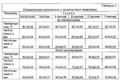 Способ сокращения потерь продукции молодняка крупного рогатого скота при его транспортировке и предубойном содержании (патент 2557303)