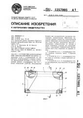 Устройство для размещения аккумуляторной батареи (патент 1257005)