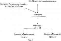 Способ разделения медно-молибденовых руд (патент 2481410)