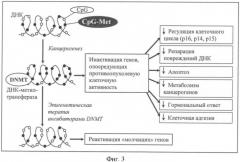 Фармацевтическая композиция для лечения диспластических процессов шейки матки (патент 2395281)