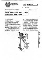 Исполнительный орган горного комбайна (патент 1065591)