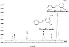 Способ выделения полифенольных соединений класса стильбенов пиносильвина и метилпиносильвина из отходов переработки сосны (патент 2536241)