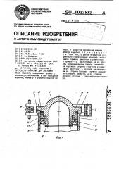 Устройство для заглушки полых изделий (патент 1033885)