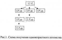 Способ оценки генотоксичности водных сред (патент 2478582)