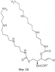 Сфингоидные полиалкиламиновые конъюгаты для вакцинации (патент 2361577)