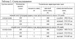 Способ борьбы с гиподинамией ремонтного молодняка яичных кур (патент 2550061)