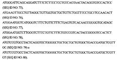Антитела к xcr1 человека (патент 2619180)