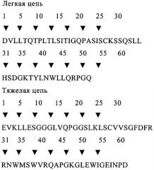 Анти-nogo антитела ("11с7") и их фармацевтическое использование (патент 2350623)