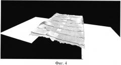 Способ лазерного 3d сканирования оперативного определения степени деформированности панельного сооружения (патент 2572060)