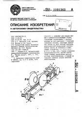 Конвейер для подачи бревен в деревообрабатывающий станок (патент 1101343)