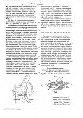 Корчеватель-измельчитель стеблей хлопчатника (патент 725607)