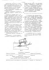 Устройство для удаления балласта из-под подошвы рельсов (патент 1313935)