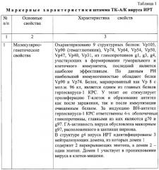 Штамм тк-а/к вируса инфекционного ринотрахеита крупного рогатого скота для изготовления вакцинных и диагностических препаратов (патент 2279474)