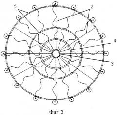 Способ формирования декоративной кроны виноградника (патент 2473206)