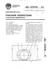 Водопропускное сооружение под насыпью (патент 1373745)